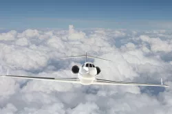 Falcon 2013