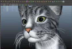 fine cat 3D model