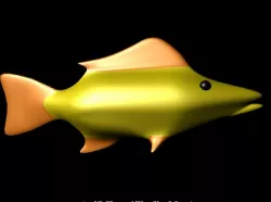 Fish