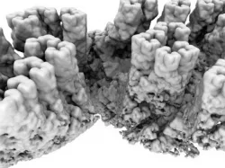 Fractal Cliffs
