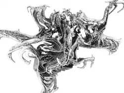 Fractal Phantom