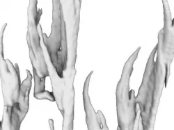 Fractal Spire