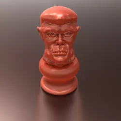 Head
