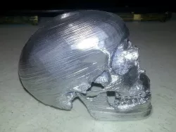 Human Skull with Mandible and Teeth