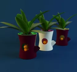 LOG and SQUIRREL Qualy 3D model