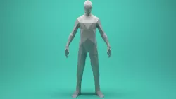 Low Poly Human  Low-poly  3D model