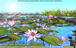Low Polygon 3D Water lilies for Games and Visualisation Low-poly  3D model