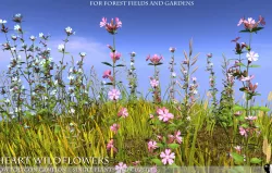 Low Polygon 3D Wild Campion Flowers for Games and Visualizations Low-poly  3D model