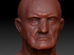 Marble Bust of a Man