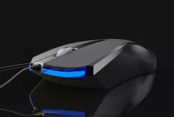 mouse 3D model