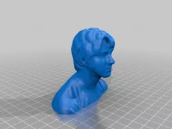 Nick B Bust