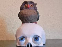 Peter and the owl