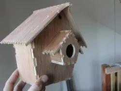 Safe Bird House