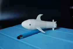 Sharky The Shark/Requin
