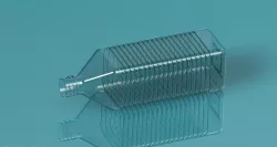 simple bottle