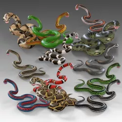Snakes Ultimate Vol 1 Rigged Low-poly  3D model