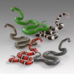 Snakes Vol 1 Rigged Low-poly  3D model