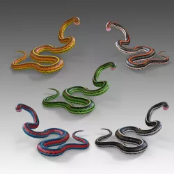Snakes Vol 2 Rigged Low-poly  3D model
