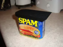 Spam-Saver Lid