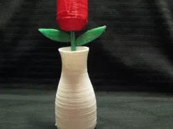 Vase Stem Rose