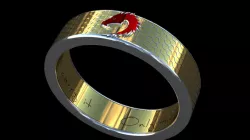 Anillo del dragòn