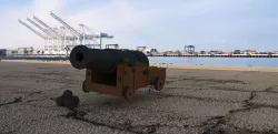 bow cannon