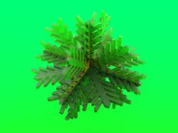 Christmas Ornament Snowflake