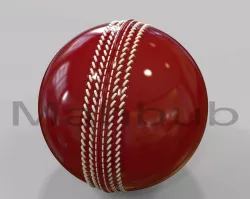 Cricket Ball