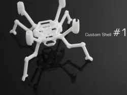 FlexBot Locust