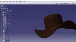 hat