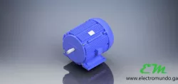 Induction motor / motor de inducción
