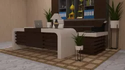 Ladies Boss Desk Office Table 8