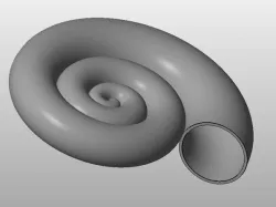 nautilus shell