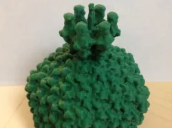 p22 Bacteriophage