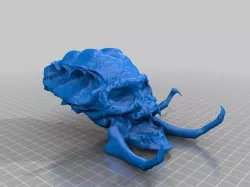 Predator Like Skull (repaired)