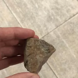 The rock