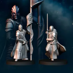 2x Bloody Elve Commanders