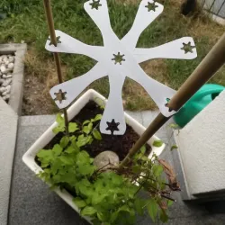 Bamboo sticks plants climbing aid