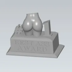 Best Ass Award