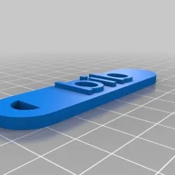 bib tag