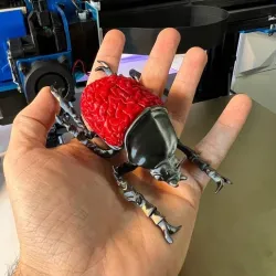 Brain Beetle