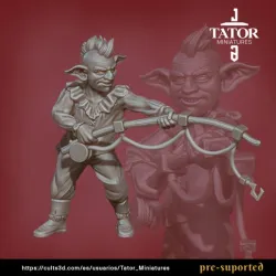 Goblin Pirate 2