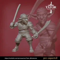 Goblin Pirate  TATOR MINIATURES