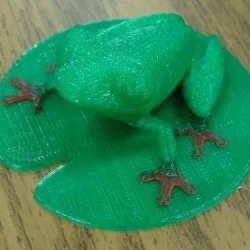 Lily Pad for Treefrog