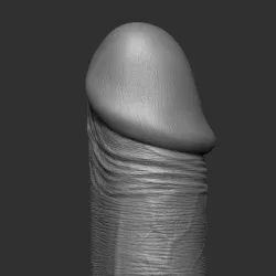 Long Dildo 3D Print model