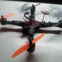 Quad X 250