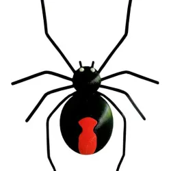 Redback spider