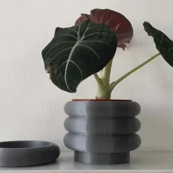 Rings Planter with Tray