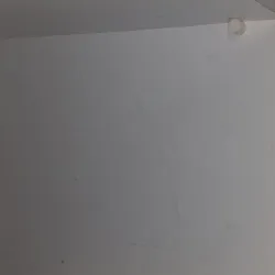 shelf support