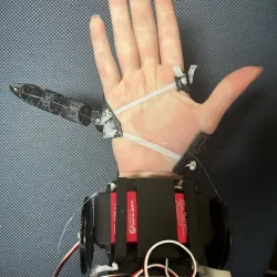 The Third Thumb
